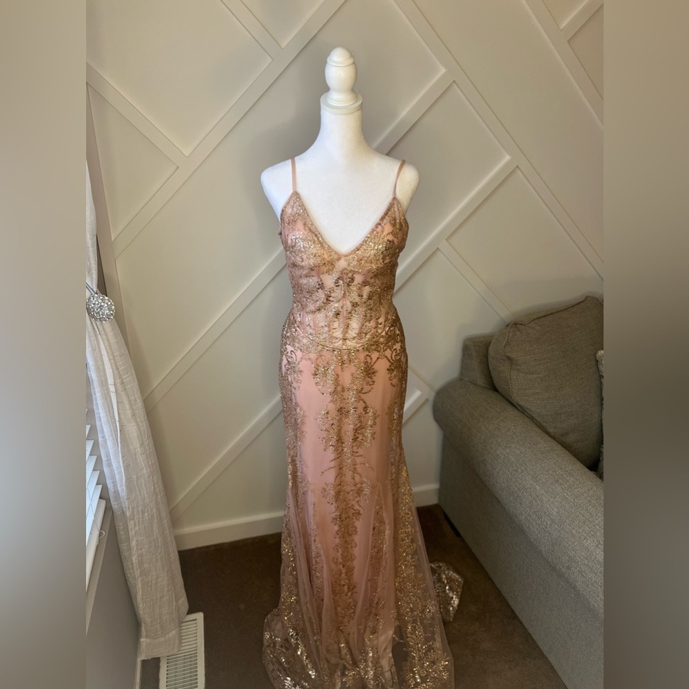 Cinderella Divine Pink & Gold Dress with Tail